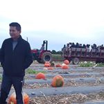 Profile Picture of Manuel Collaguazo (@manuel.panora.127) on Instagram