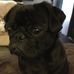 Profile Picture of Nola Watson (@profile.php) on Facebook