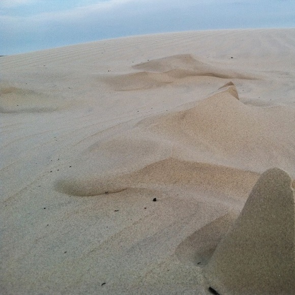 Profile Picture of Erin Dibos (@erinthebitch) on Poshmark