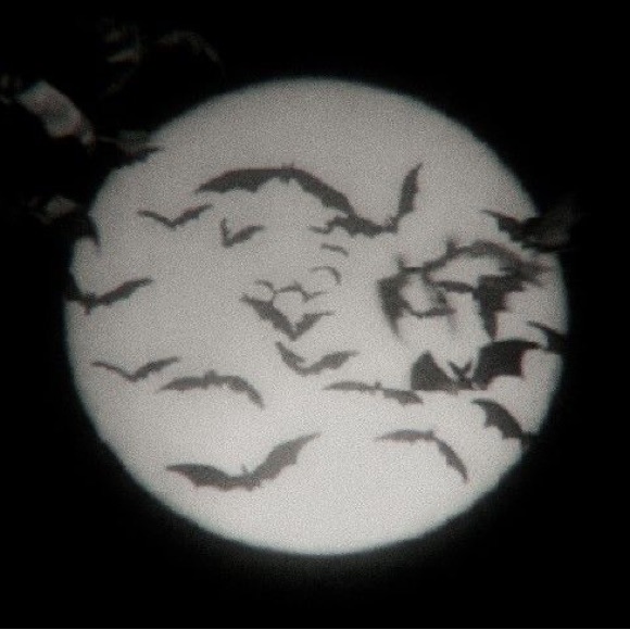 Profile Picture of Hannah Hamby (@spookytaehyung) on Poshmark