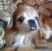 Profile Picture of George Manea (@george.manea.5682) on Facebook