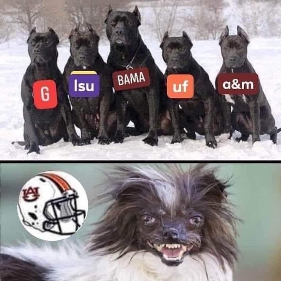 Profile Picture of Jacques Callins (@jacquescallins) on Poshmark