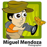 Profile Picture of Miguel  Mendoza (@shutter_hand mobile) on Flickr