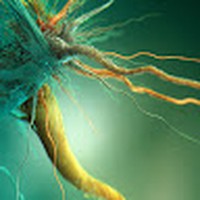 Profile Picture of Jonathan Raney (@jonathan-raney-5) on Quora