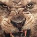 Profile Picture of Jesse Swafford (@jbody19) on Pinterest