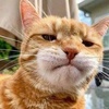 Profile Picture of jeanbolt38 (@@jeanbolt38) on Tiktok