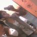 Profile Picture of Deborah Alicea (@deborah.alicea.754) on Facebook