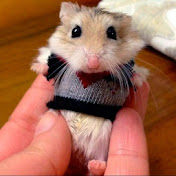 Profile Picture of Vladimir Kim (@RastaKor) on Youtube