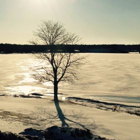 Profile Picture of Dee Grant (@dmc78) on Pinterest