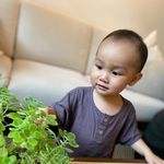 Profile Picture of Jared Tam (@chestnut.lutlut) on Instagram