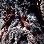 Profile Picture of Jason Reade (@gr1ff1n1232) on Instagram