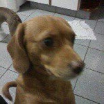 Profile Picture of Adri Benson Maia (@adribenson) on Instagram