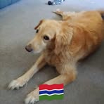 Profile Picture of ۦۦ ۦۦ ۦۦ ۦۦ (@ۦۦ-ۦۦ-ۦۦ-ۦۦ) on Facebook