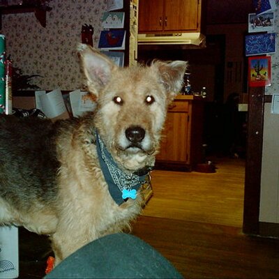 Profile Picture of James F Barden (@papapjim) on Twitter