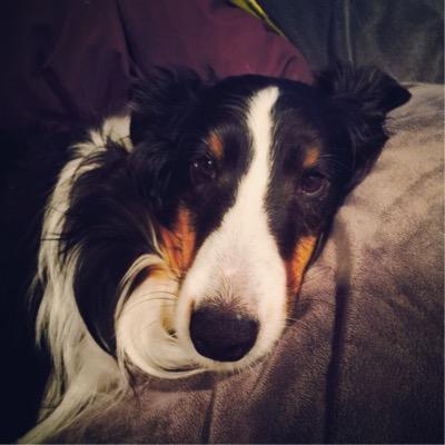 Profile Picture of Sheila Gay (@Daxsheila) on Twitter