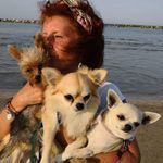 Profile Picture of Anna Raimondi (@anna.raimondi.14) on Instagram