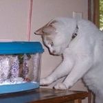 Gary Wesselman - Instagram Profile Picture of Gary Wesselman (@garywesselman) on Instagram