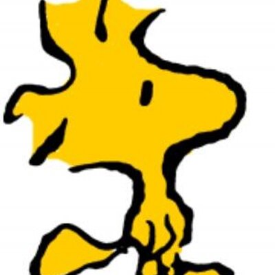 Profile Picture of David Benham (@davidrbenham) on Twitter