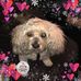 Profile Picture of Tammy Mooso (@tammy.mooso) on Facebook