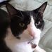 Profile Picture of Frances Stanford (@frances.stanford.16) on Facebook