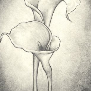 Profile Picture of Magda Jiménez (@MagdaJimGom) on Twitter