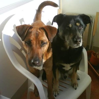 Profile Picture of Barbara Wilde (@fin69leo) on Twitter