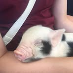 Profile Picture of Beth Pullman (@beth.pullman.12) on Facebook