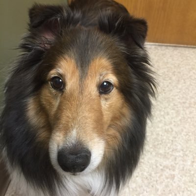 Profile Picture of Mattie Miller (@Mattie227) on Twitter