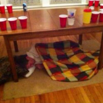 Profile Picture of Eric Avent (@EricAvent) on Twitter