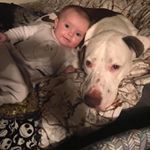 Profile Picture of Amber Corbett (@amber.b.wendell) on Instagram