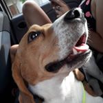 Profile Picture of *checho* (@jason.max30) on Instagram