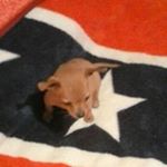 Profile Picture of Christy Dawn Hamm (@hammchristy) on Instagram