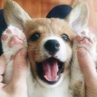 Profile Picture of Lani Jacobson (@lani-jacobson-3) on Quora