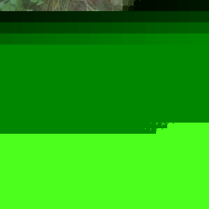 Profile Picture of Samai Tiwari Harshit (@samai.tiwari) on Myspace