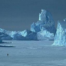 Profile Picture of LUCY PAOLA ANAYA LIZ (@paola78835559) on Twitter