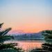 Profile Picture of Ava Finkelstein (@afinkelstein2411) on Pinterest