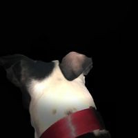 Profile Picture of Silvia Adams (@silvia-adams-6) on Quora