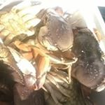 Profile Picture of Paula McKenna (@calimomproudof3) on Instagram