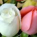Profile Picture of Suski Tala (@farah.ahmadi.39) on Facebook