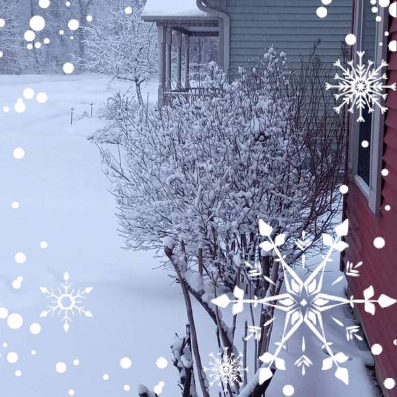 Profile Picture of Linda Grams (@lcbgrams) on Poshmark