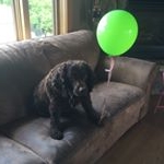 Profile Picture of Rocky Olson (@_rocky_the_rock_2222) on Instagram