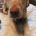 Profile Picture of Charlie Engen (@charlie.engen.75) on Facebook