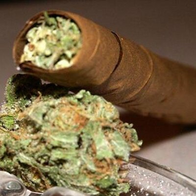 Profile Picture of John Michas (@KushMastaMichas) on Twitter