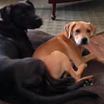 Profile Picture of Richard Seiffert (@richard.seiffert.10) on Facebook