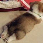 Profile Picture of yonghwan (@jessechoe) on Instagram