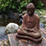 Profile Picture of Steve Schmidt (@buddha smiling) on Flickr