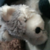 Profile Picture of Cameron Barry (@cameronbarry443) on Youtube