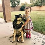 Profile Picture of Joshua Lyons (@lyonsdensoftware) on Instagram