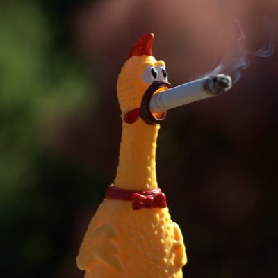 Michael Agnello - Twitter Profile Picture of Michael Agnello (@michaelfagnello) on Twitter