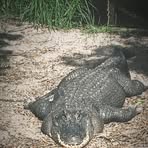 Profile Picture of Josh Paxton (@josh.paxton.588239) on Facebook